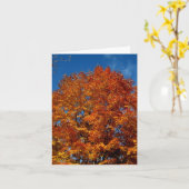 空白の_オレンジ色の木の上の炎 カード (黄色い花)