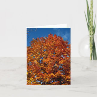 空白の_オレンジ色の木の上の炎 カード
