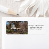 空素晴らし中青鷺 ラベル (インサイチュ)