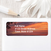 空絵を描積 ラベル (インサイチュ)