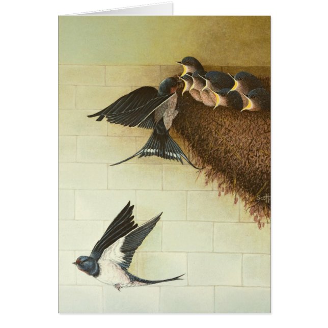 空腹な口2011年 (正面)