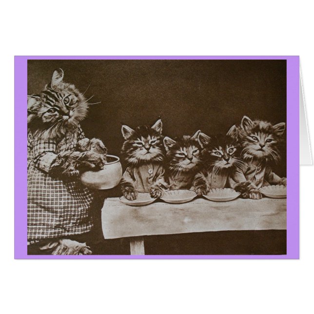 空腹な猫ちゃん (正面横)