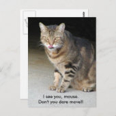 空腹な猫の郵便はがき ポストカード (正面/裏面)