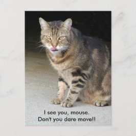 空腹な猫の郵便はがき ポストカード
