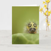 空腹なcatapillar カード (黄色い花)