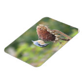 空腹のヌサッチ磁石 マグネット (左側)