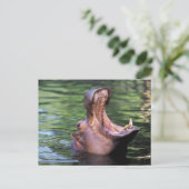 空腹のヒッポ ポストカード (スタンド正面)