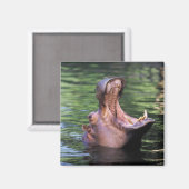 空腹のヒッポ マグネット (正面/裏面)