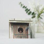 空腹のベビーバードスパロウ写真はがき ポストカード (スタンド正面)