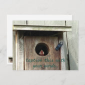 空腹のベビーバードスパロウ写真はがき ポストカード (正面/裏面)