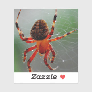 空腹の蜘蛛が待つ シール