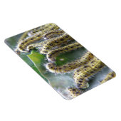 空腹キャベツホワイトキャタピラーズプレミアムマグネット マグネット (右側)