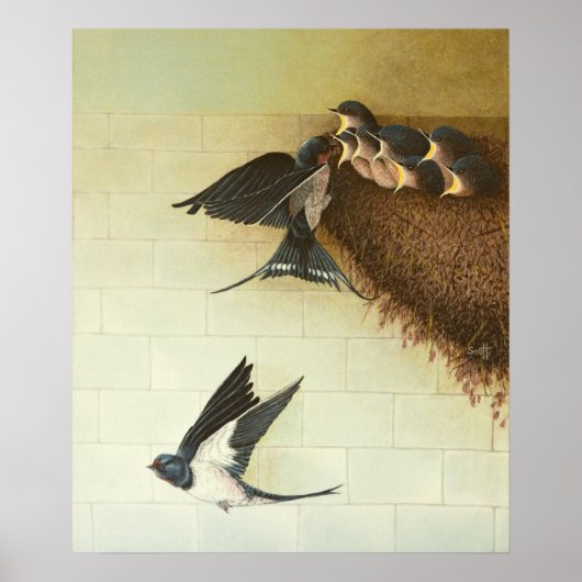 空腹ムース2011 ポスター (正面)