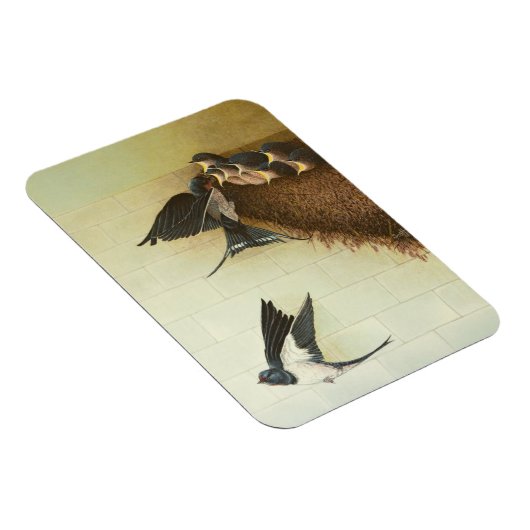 空腹ムース2011 マグネット (右側)