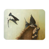 空腹ムース2011 マグネット (横)