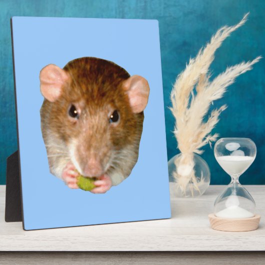 空腹ラット・プラーク フォトプラーク (側面)