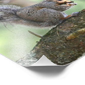 空腹リスの写真プリント フォトプリント            (角)