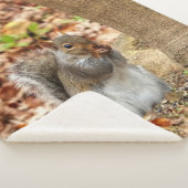 空腹リス シェルパブランケット (3/4)