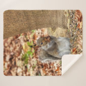 空腹リス シェルパブランケット (正面(横))