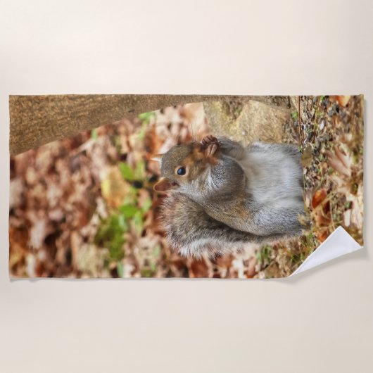 空腹リス ビーチタオル (正面)