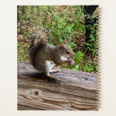 空腹リス プランナー手帳 (裏面)