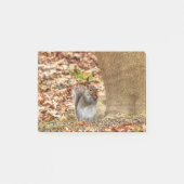 空腹リス ポストイット (正面)