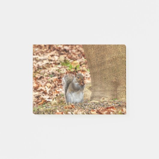 空腹リス ポストイット (正面)