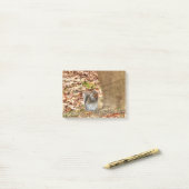 空腹リス ポストイット (デスク上)