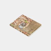 空腹リス ポストイット (アングル)