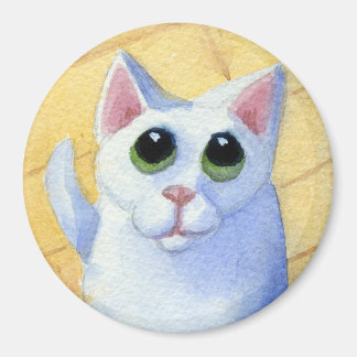 空腹猫マグネット マグネット