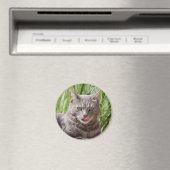 空腹猫マグネット マグネット (インサイチュ (食洗機))