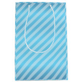 空色の対角線のストライプパターン ミディアムペーパーバッグ (正面)
