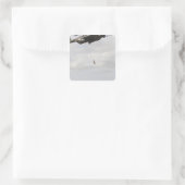 空軍の分隊戦闘機が戦闘用インサートを実施2 スクエアシール (バッグ)