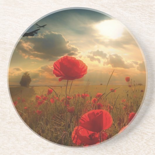 空軍の献上品 コースター (正面)