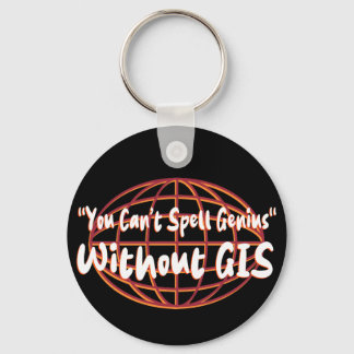 空間データ/測量士鍵 キーホルダー