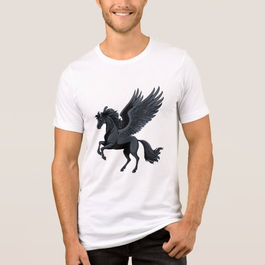 空飛ぶペガサス トライブレンドＴシャツ (正面)