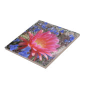 空飛ぶ円盤のサボテンの開花 タイル (側面)