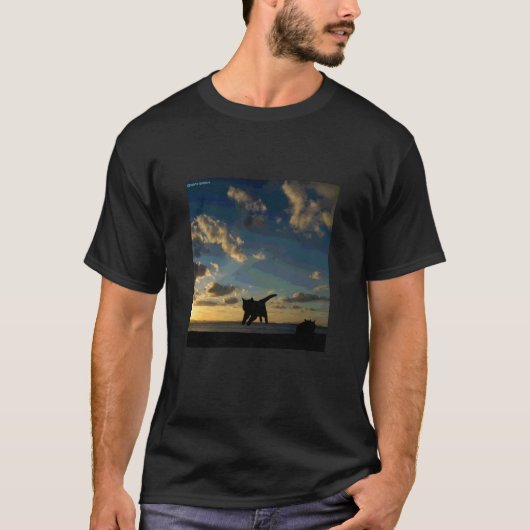 空飛ぶ猫のシルエット_001 Tシャツ (正面)