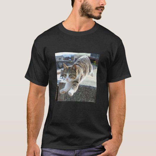 空飛ぶ猫2_001 Tシャツ (正面)