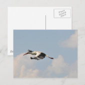 空高く ポストカード (正面/裏面)