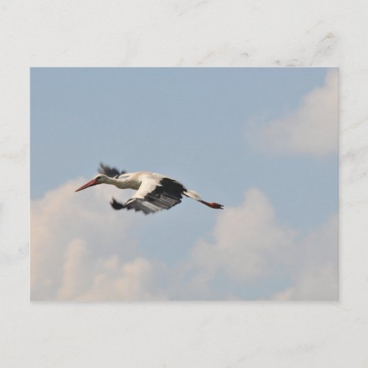 空高く ポストカード (正面)