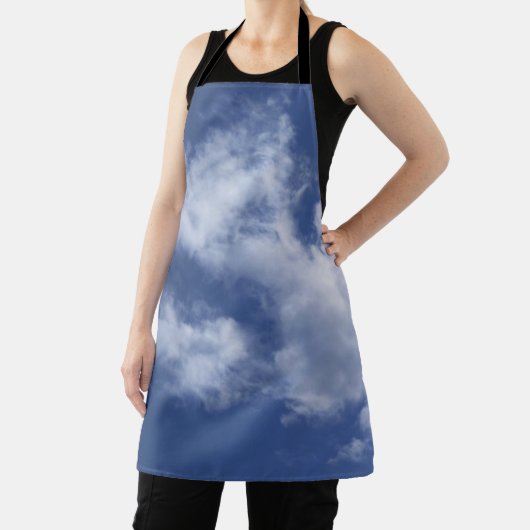 空 エプロン (インサイチュ)