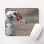 空 マウスパッド (マウス)