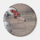 空 マグネット (正面)