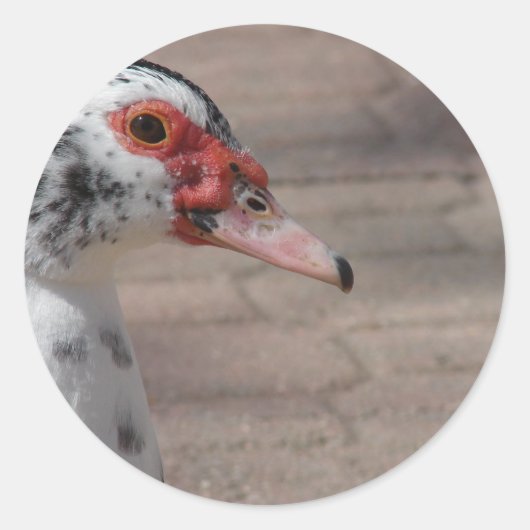 空 ラウンドシール (正面)