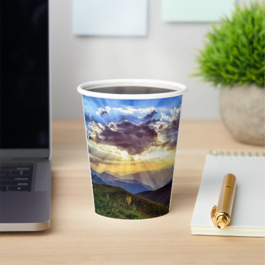 空 紙コップ (インサイチュ)