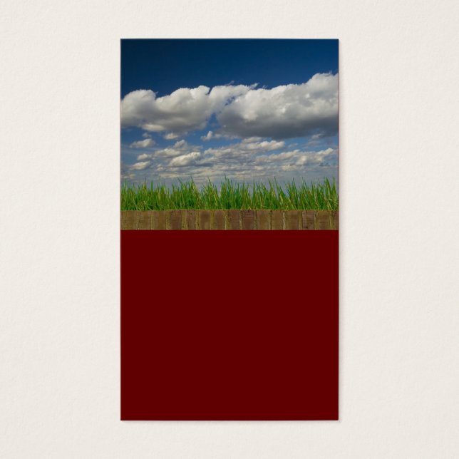 空，草，レンガ (正面)