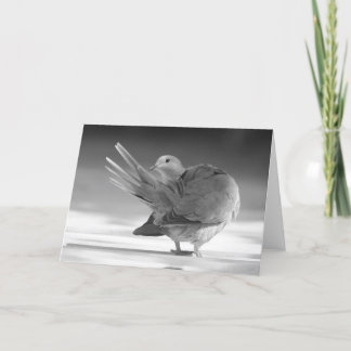 空Iのカードの天使 カード