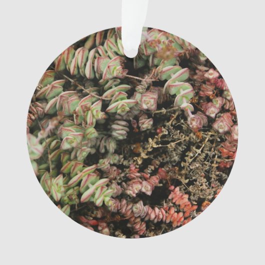 穿孔下皮 オーナメント (正面)