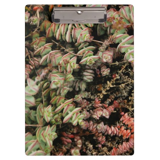 穿孔下皮 クリップボード (正面)